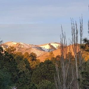 Meet your Posher, Ernie